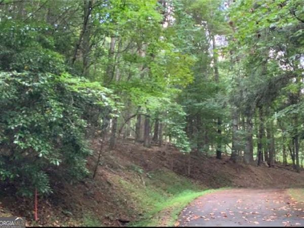 0 Tunica Lane, Unit 362, Ellijay, GA 30540