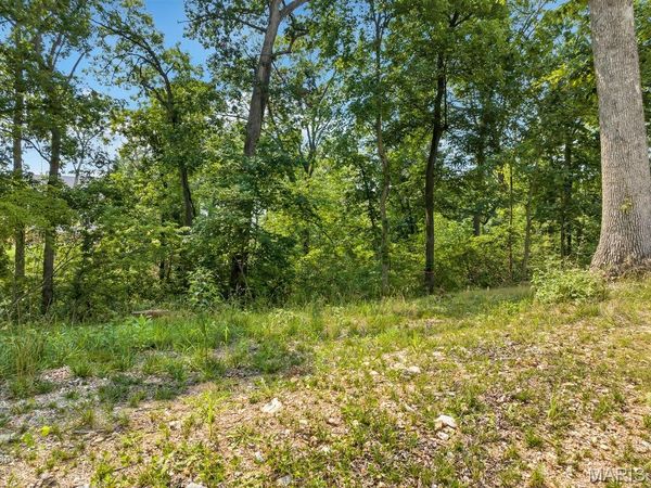 204 Ella Rose Lane, St Charles, MO 63304
