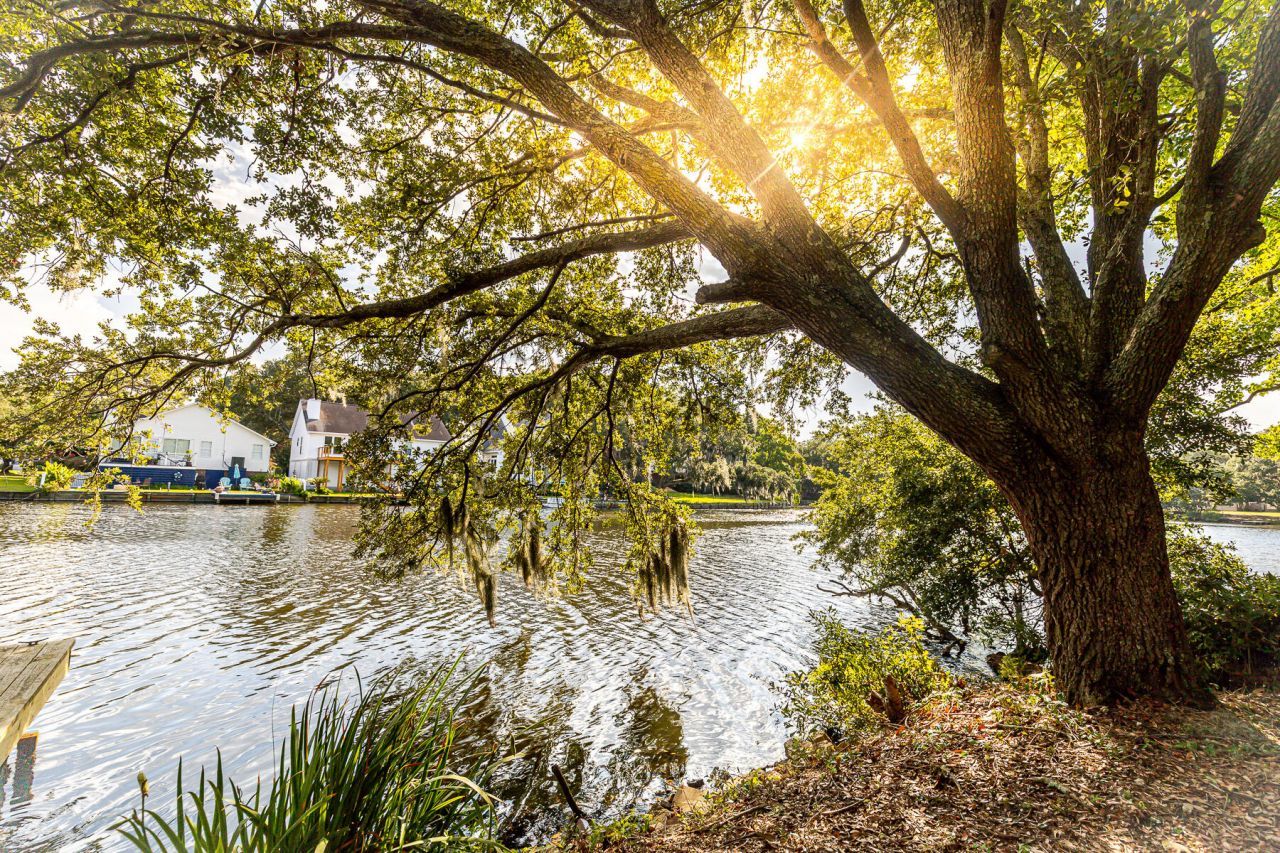 713 Lake Frances Drive Photo 1