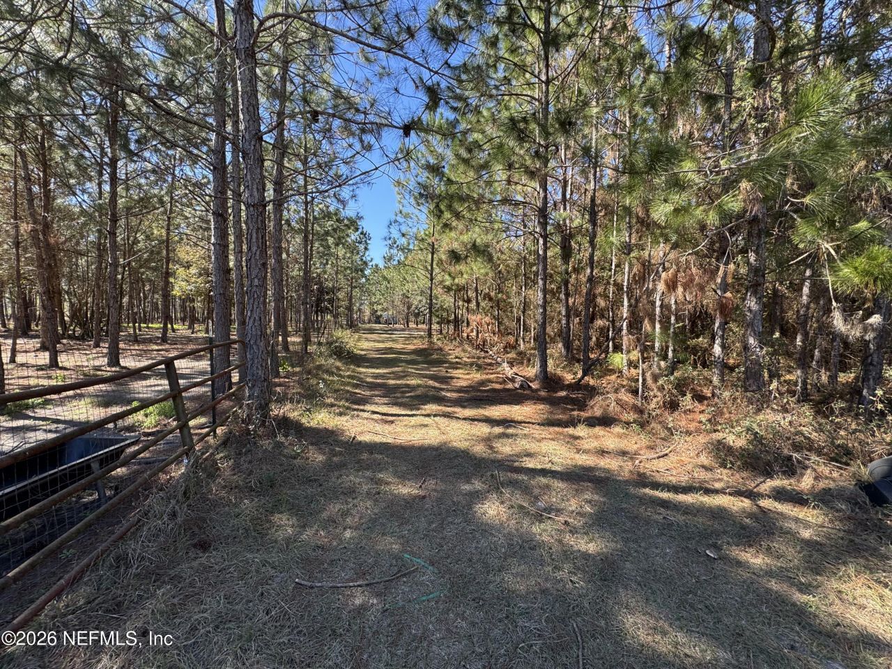 0 SW 105th Terrace, Brooker, FL 32622 Photo