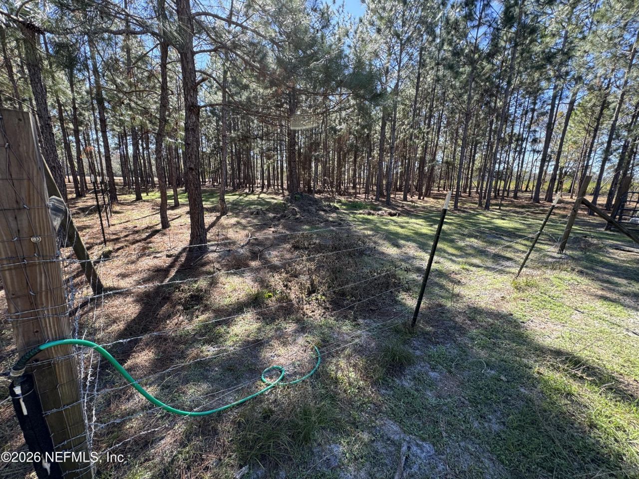 0 SW 105th Terrace, Brooker, FL 32622 Photo