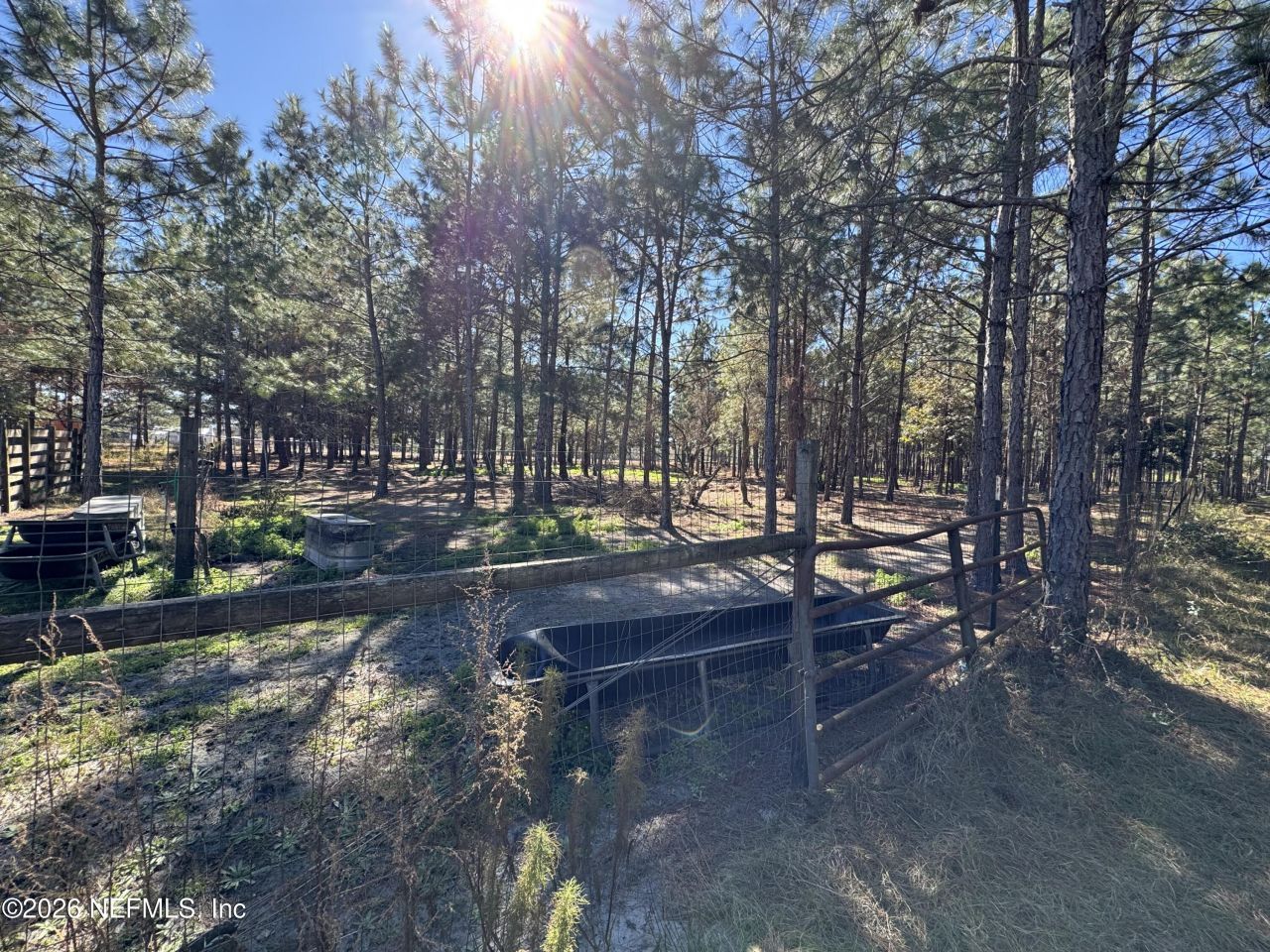 0 SW 105th Terrace, Brooker, FL 32622 Photo