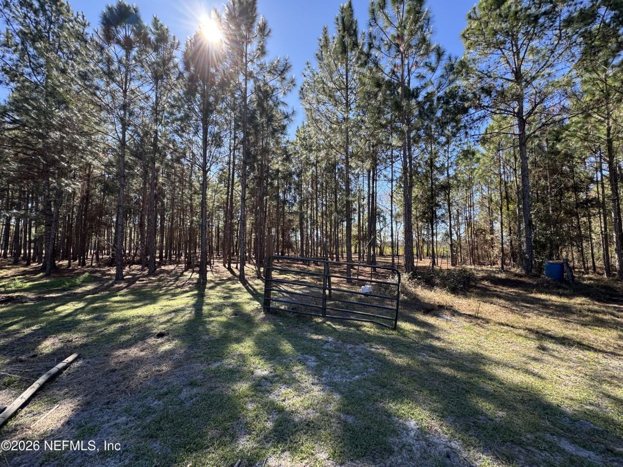 0 SW 105th Terrace, Brooker, FL 32622 Photo