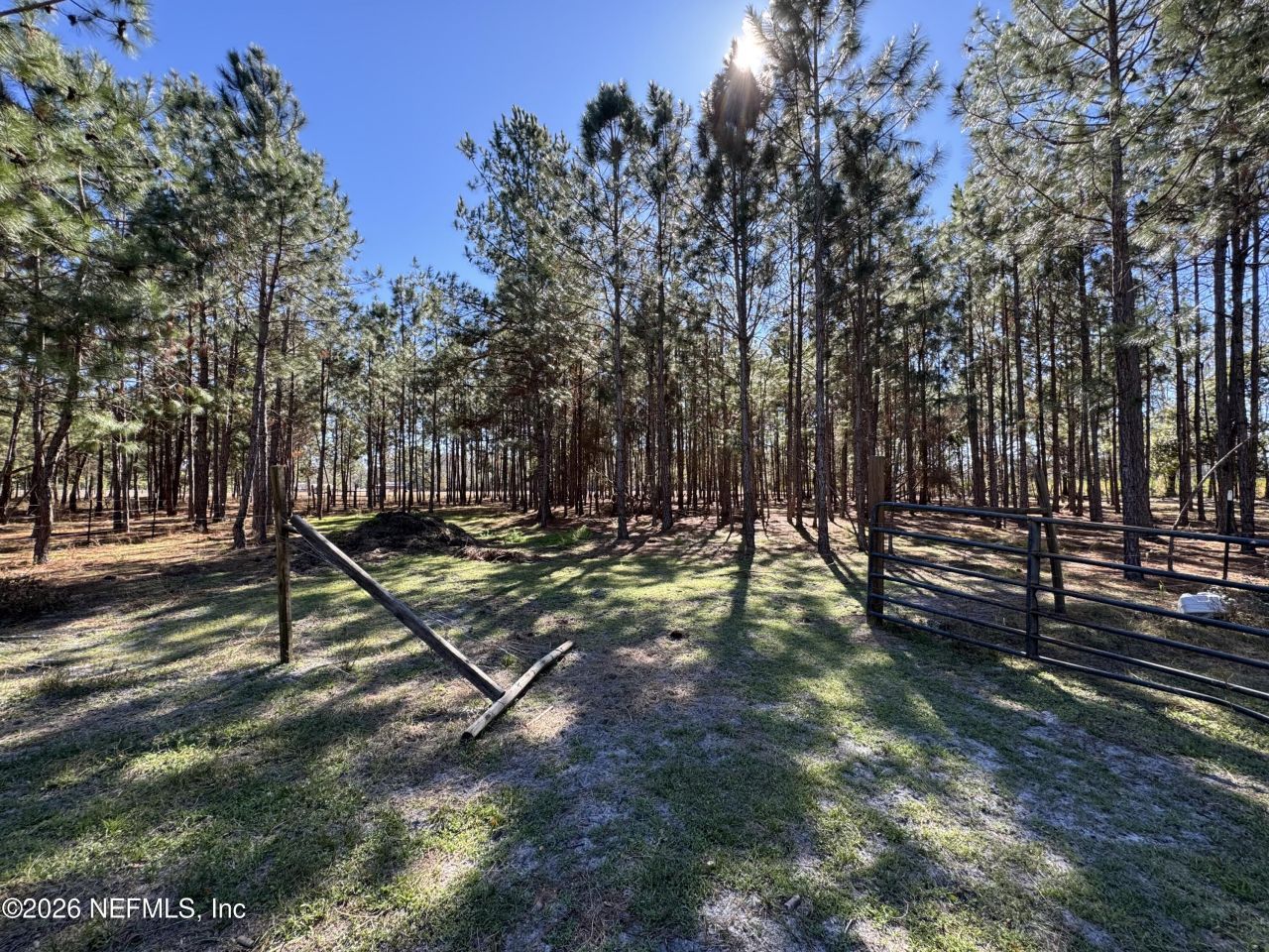 0 SW 105th Terrace, Brooker, FL 32622 Photo