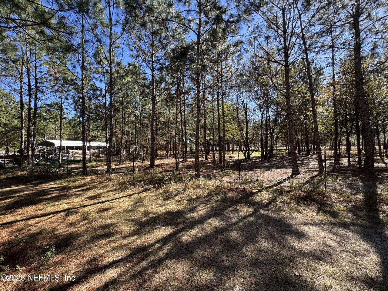 0 SW 105th Terrace, Brooker, FL 32622 Photo