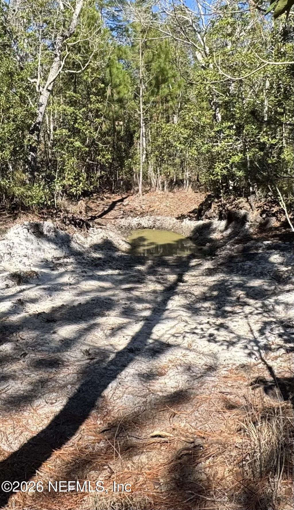 0 SW 105th Terrace, Brooker, FL 32622 Photo