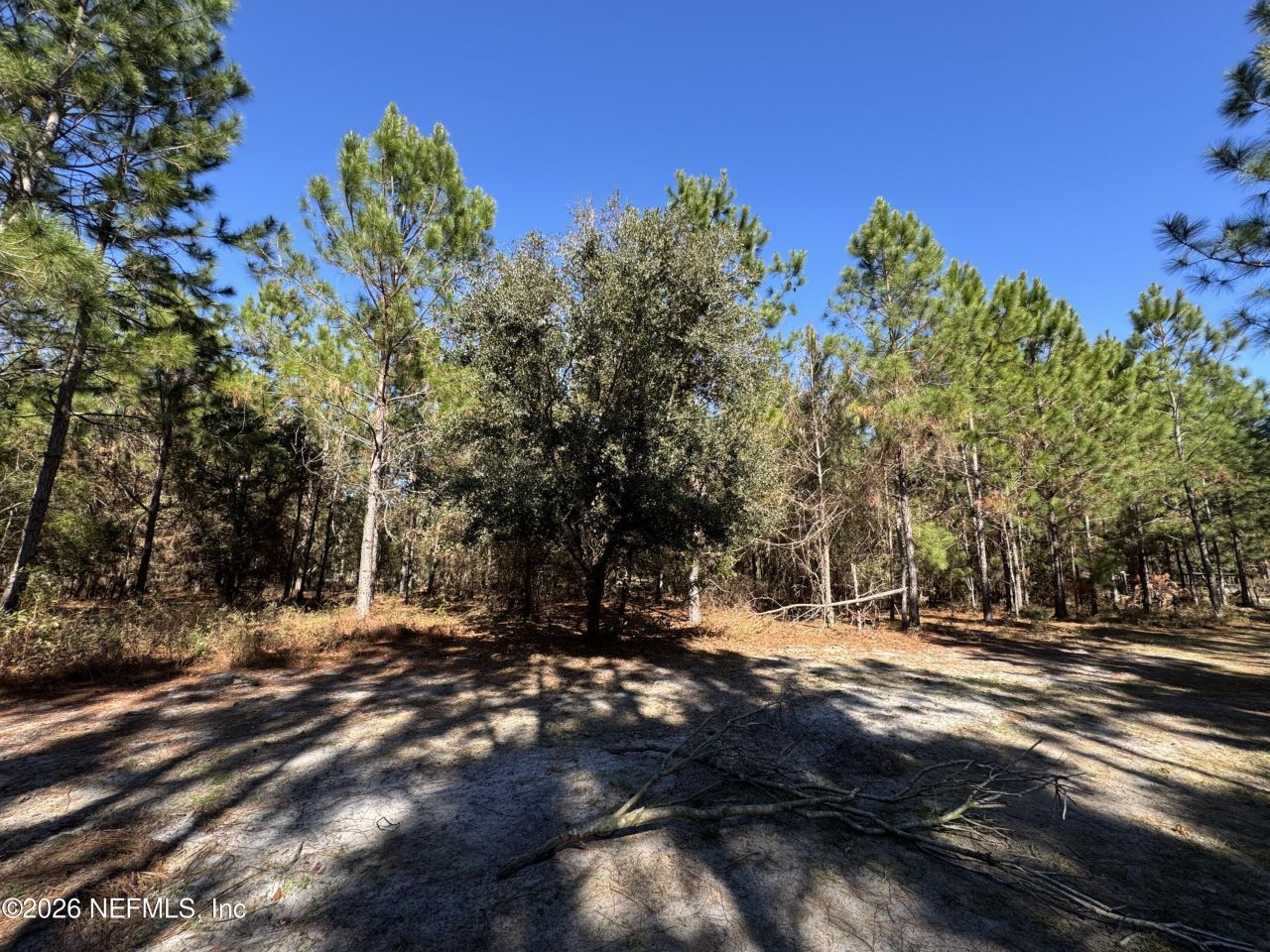 0 SW 105th Terrace, Brooker, FL 32622 Photo