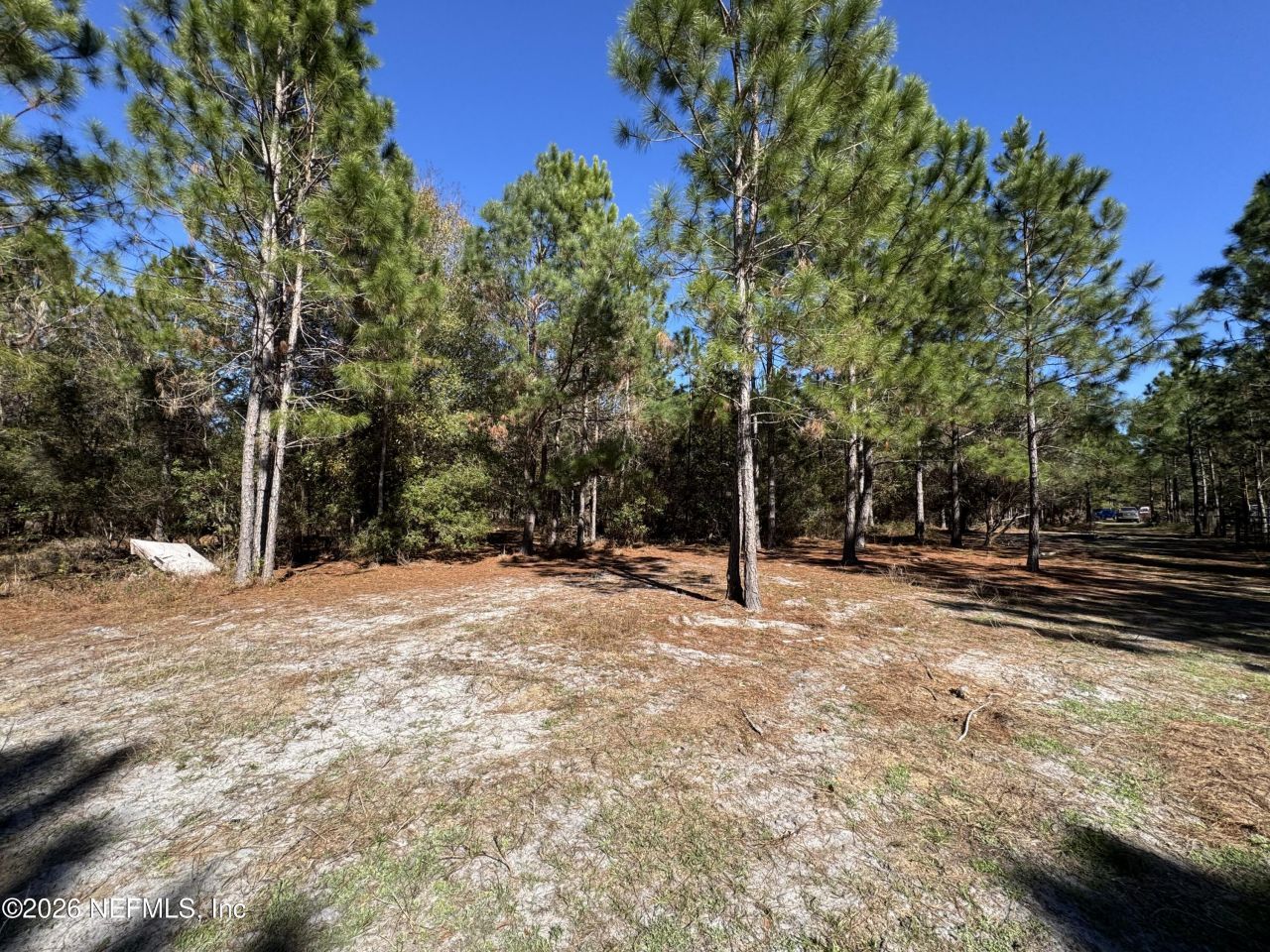 0 SW 105th Terrace, Brooker, FL 32622 Photo