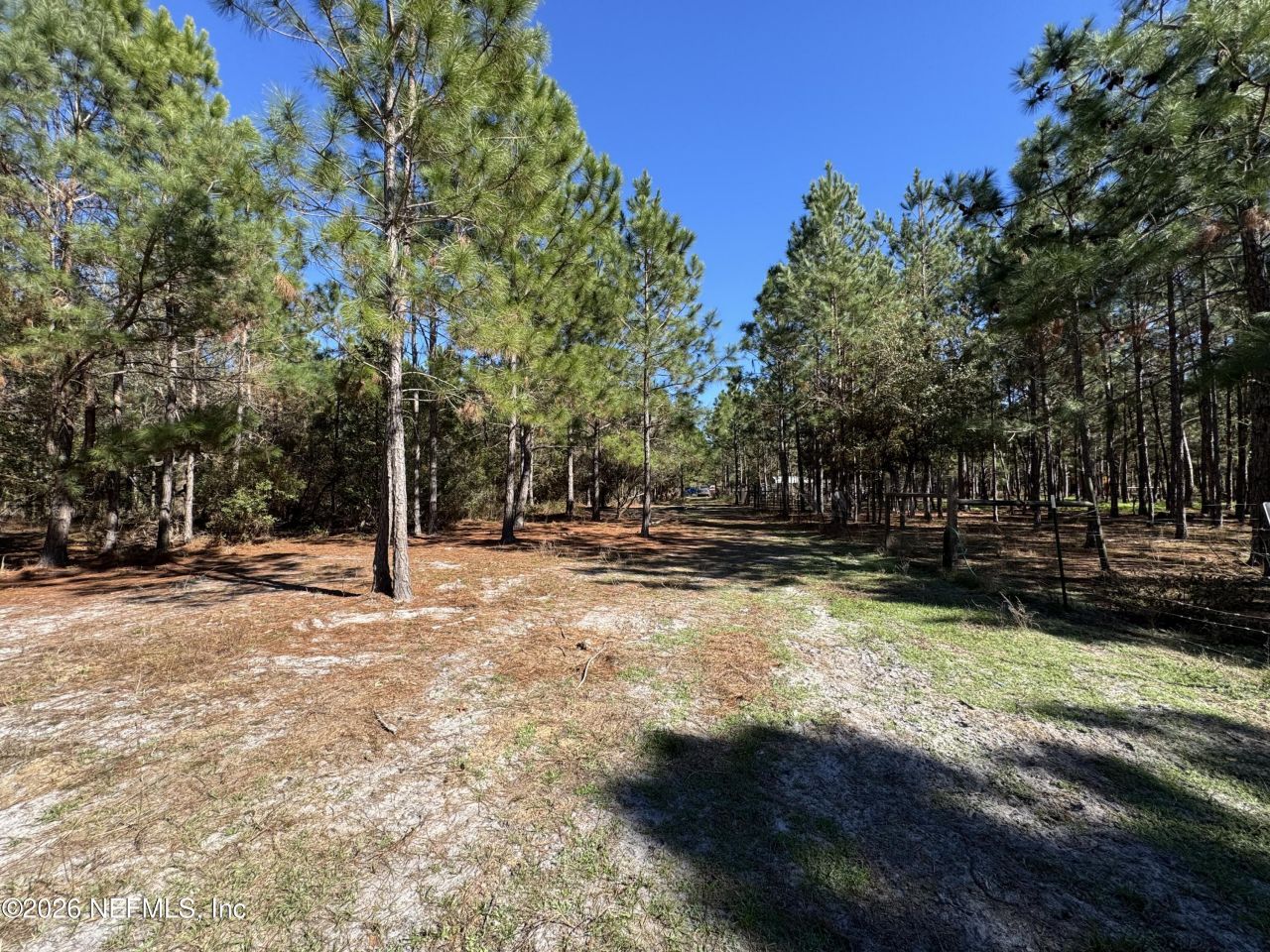 0 SW 105th Terrace, Brooker, FL 32622 Photo