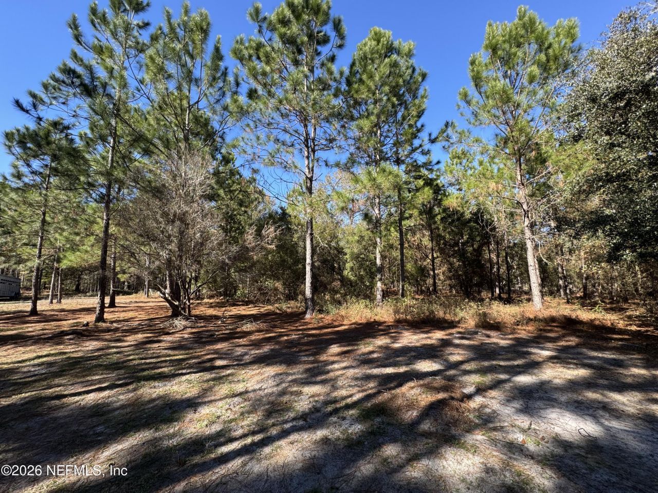 0 SW 105th Terrace, Brooker, FL 32622 Photo