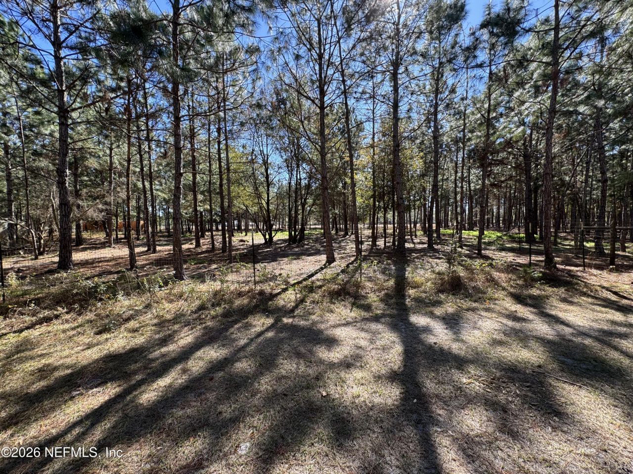 0 SW 105th Terrace, Brooker, FL 32622 Photo