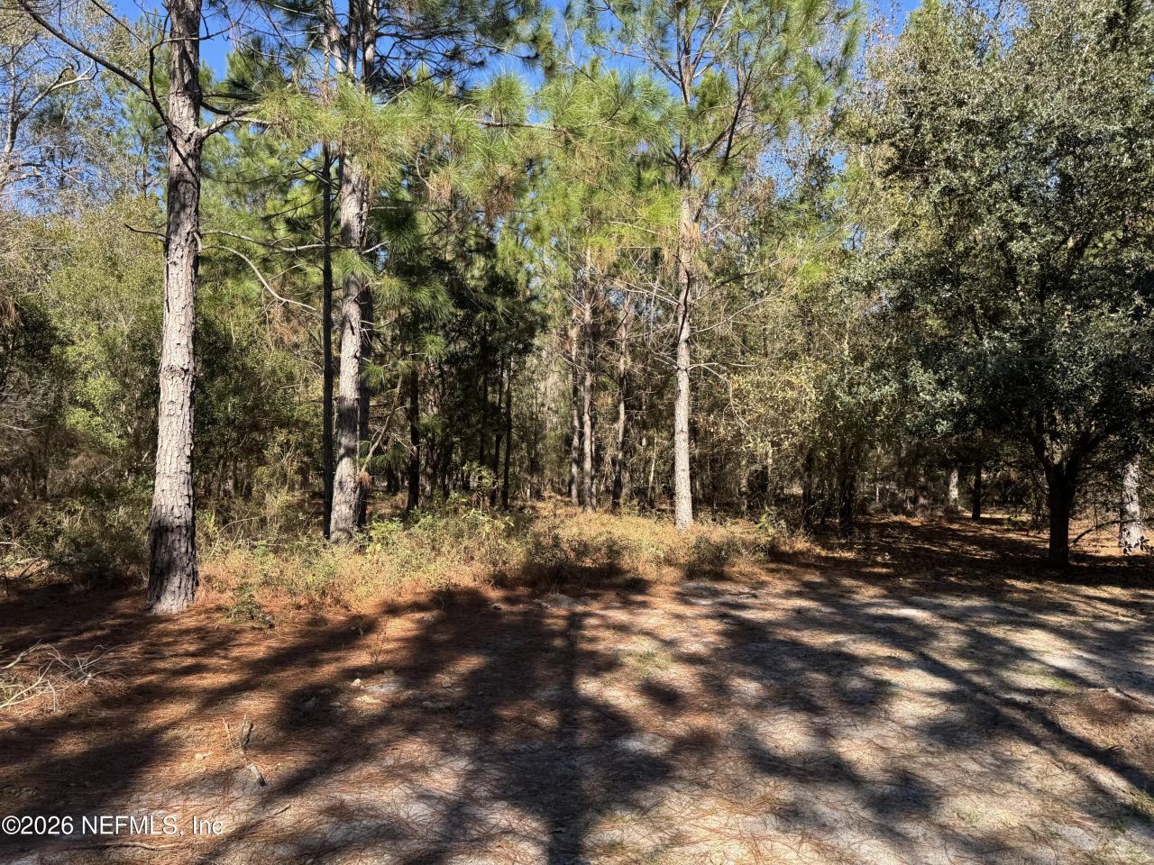 0 SW 105th Terrace, Brooker, FL 32622 Photo