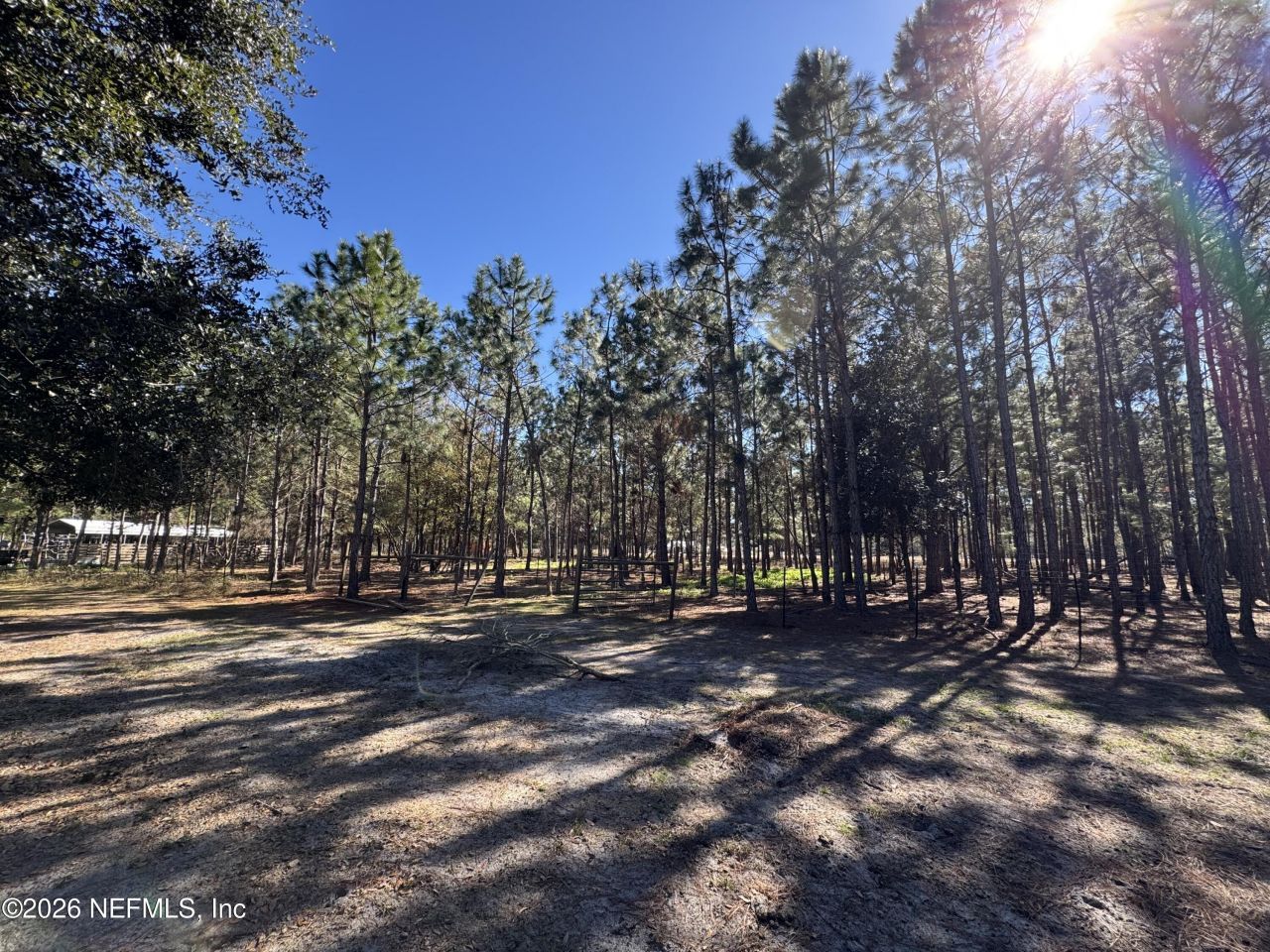 0 SW 105th Terrace, Brooker, FL 32622 Photo