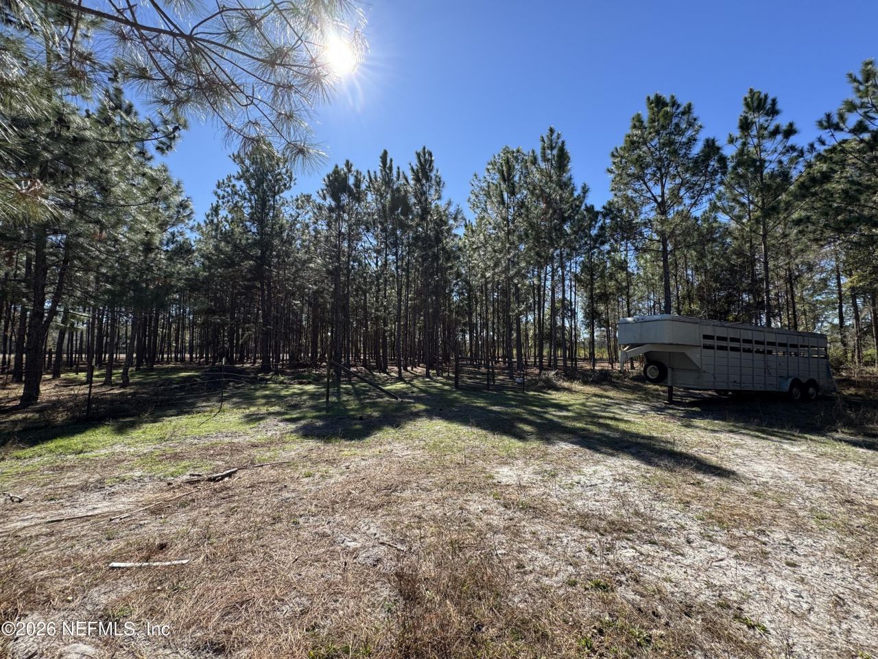 0 SW 105th Terrace, Brooker, FL 32622 Photo