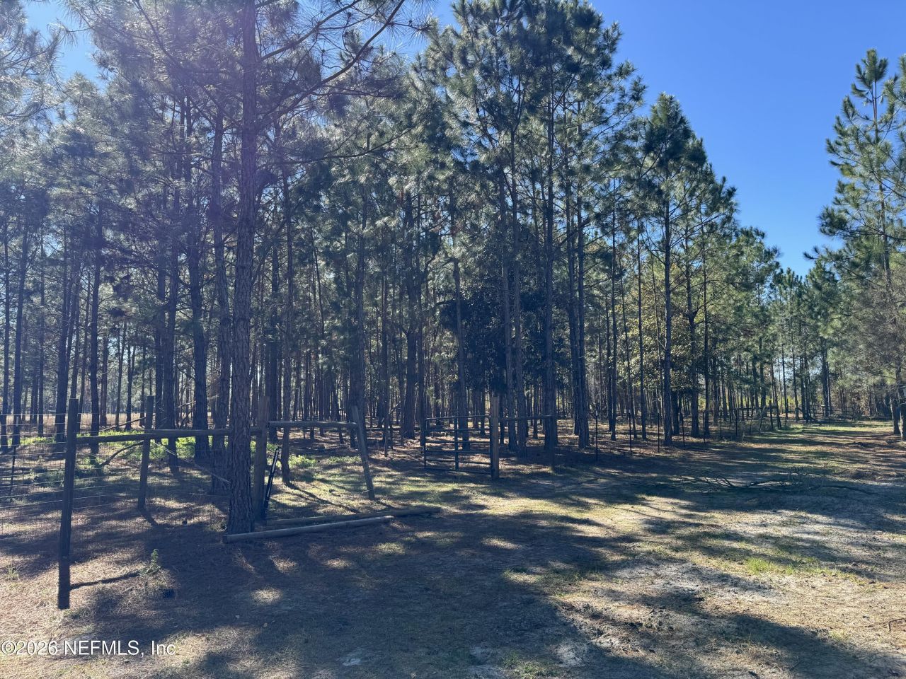 0 SW 105th Terrace, Brooker, FL 32622 Photo