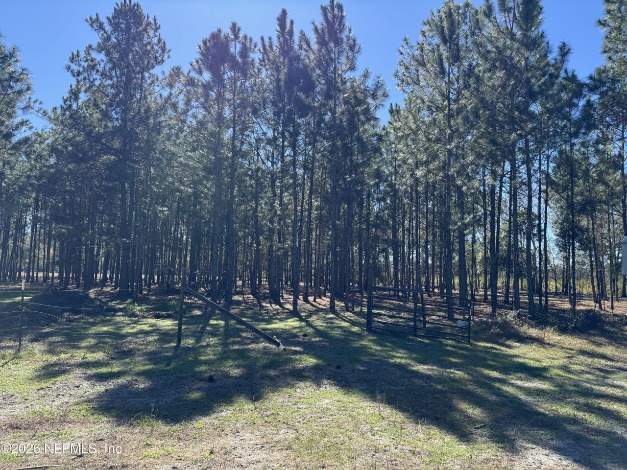 0 SW 105th Terrace, Brooker, FL 32622 Photo