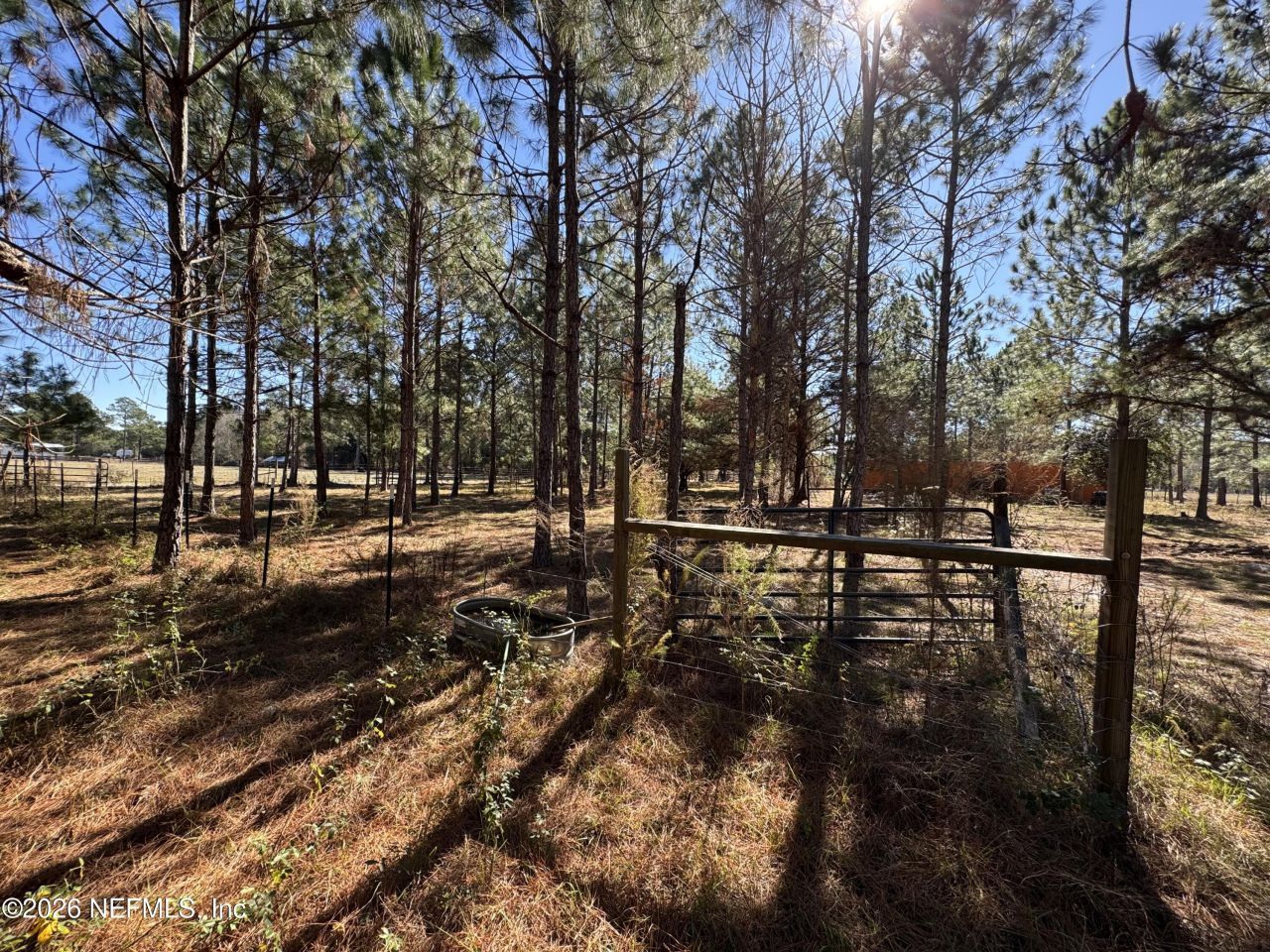 0 SW 105th Terrace, Brooker, FL 32622 Photo