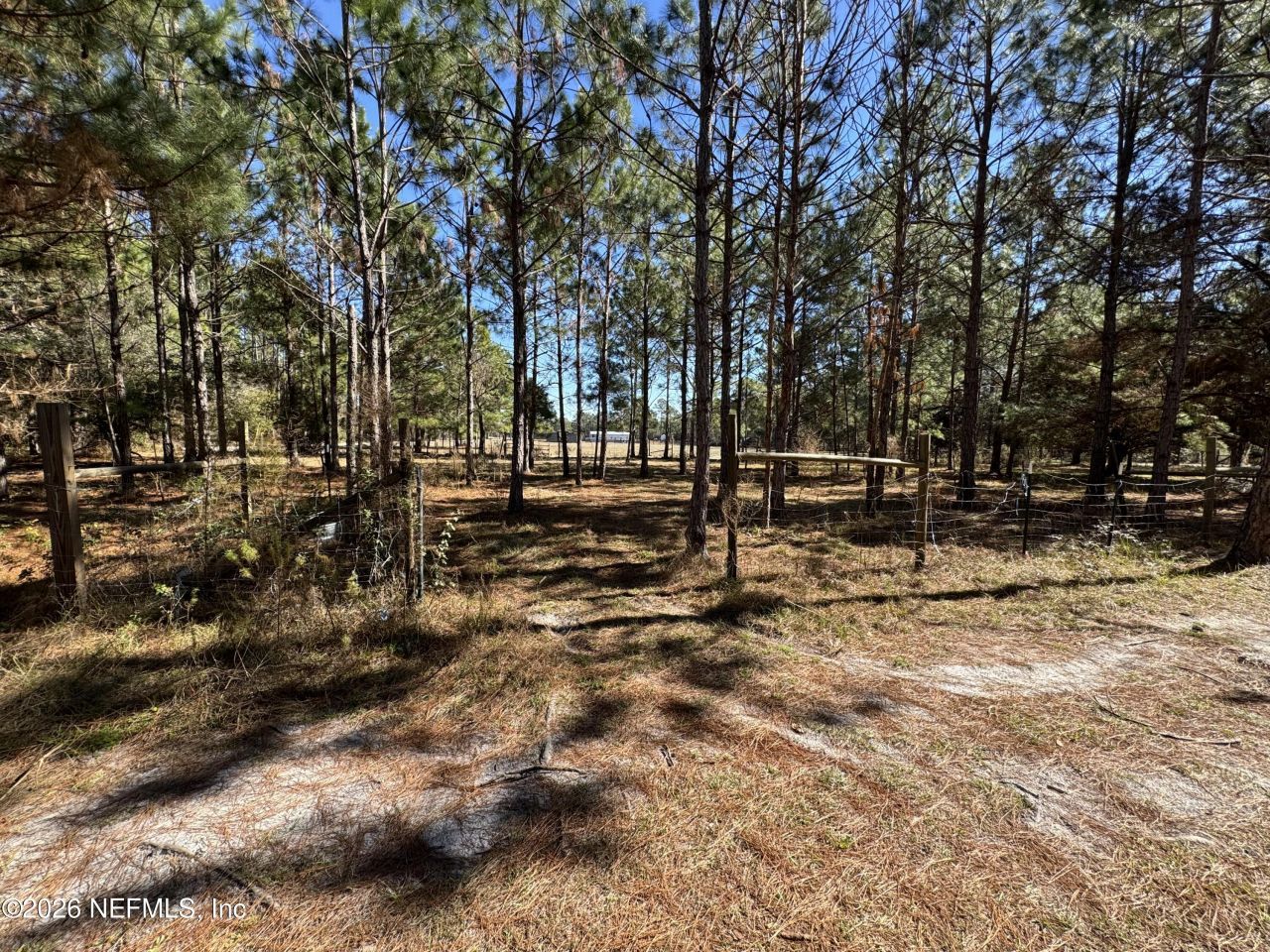 0 SW 105th Terrace, Brooker, FL 32622 Photo