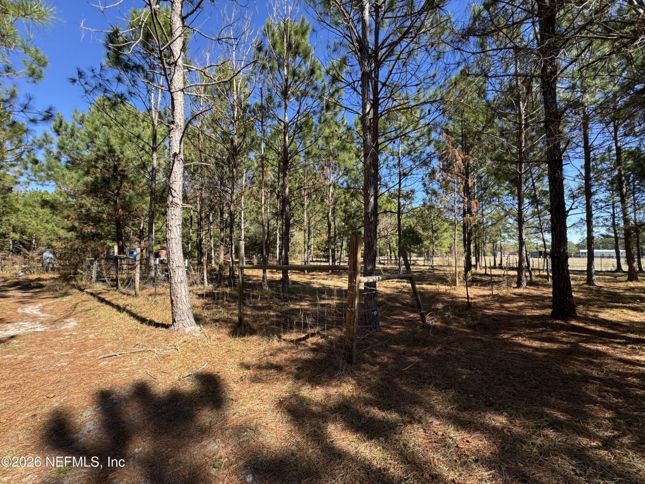 0 SW 105th Terrace, Brooker, FL 32622 Photo