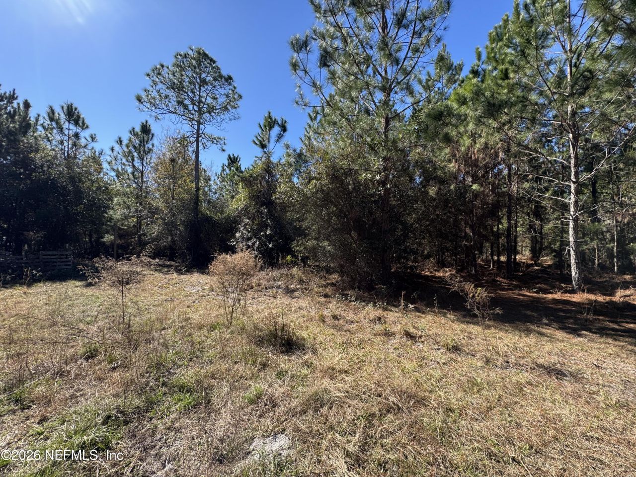 0 SW 105th Terrace, Brooker, FL 32622 Photo