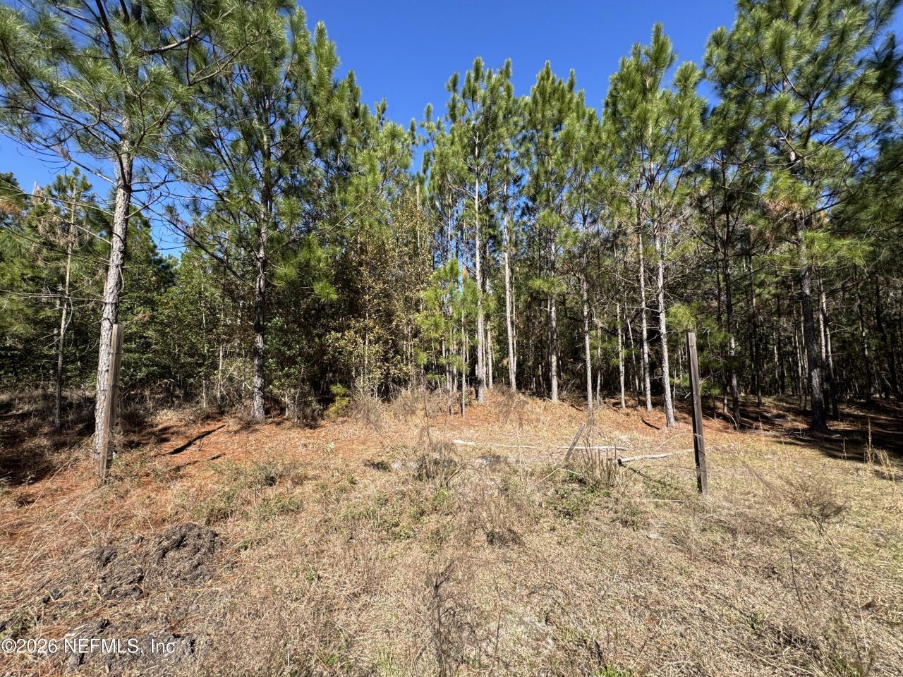 0 SW 105th Terrace, Brooker, FL 32622 Photo