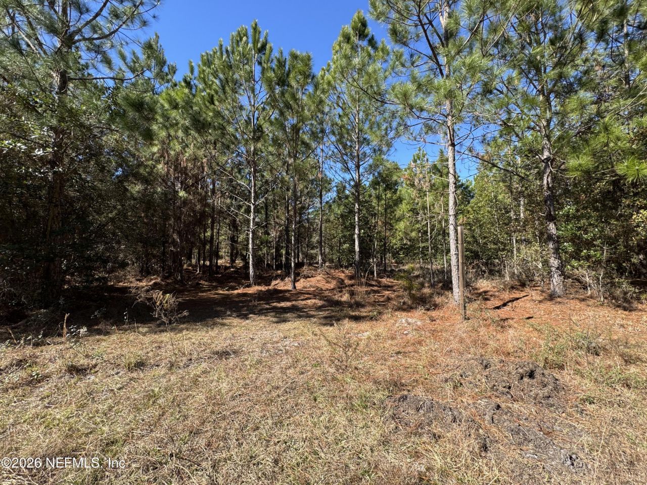 0 SW 105th Terrace, Brooker, FL 32622 Photo