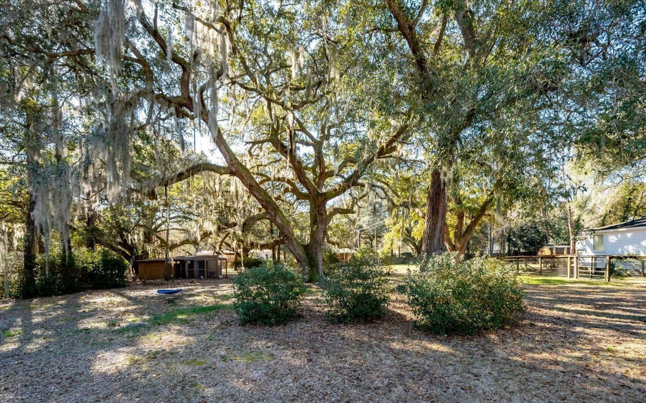 7967 Highway 162 Photo 33