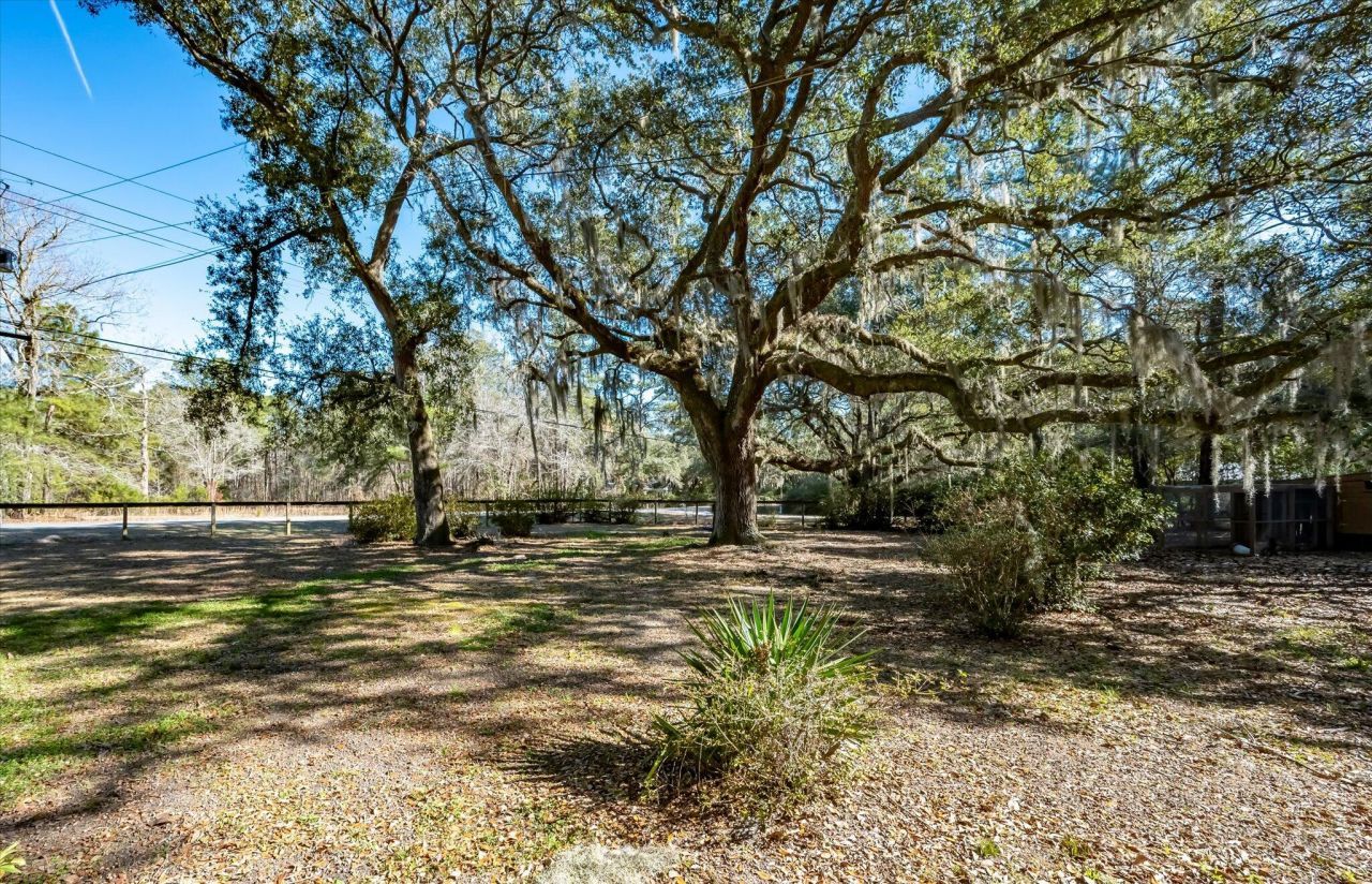 7967 Highway 162 Photo 42