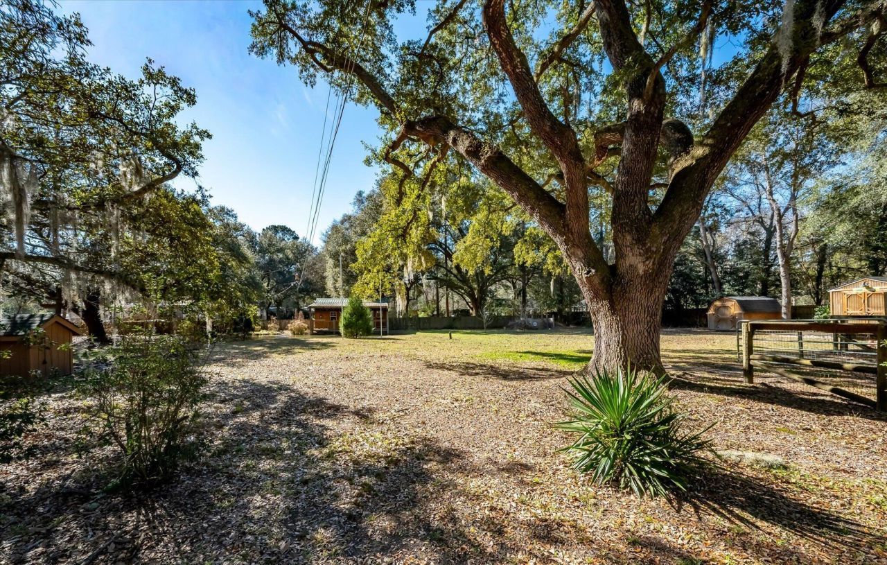 7967 Highway 162 Photo 44