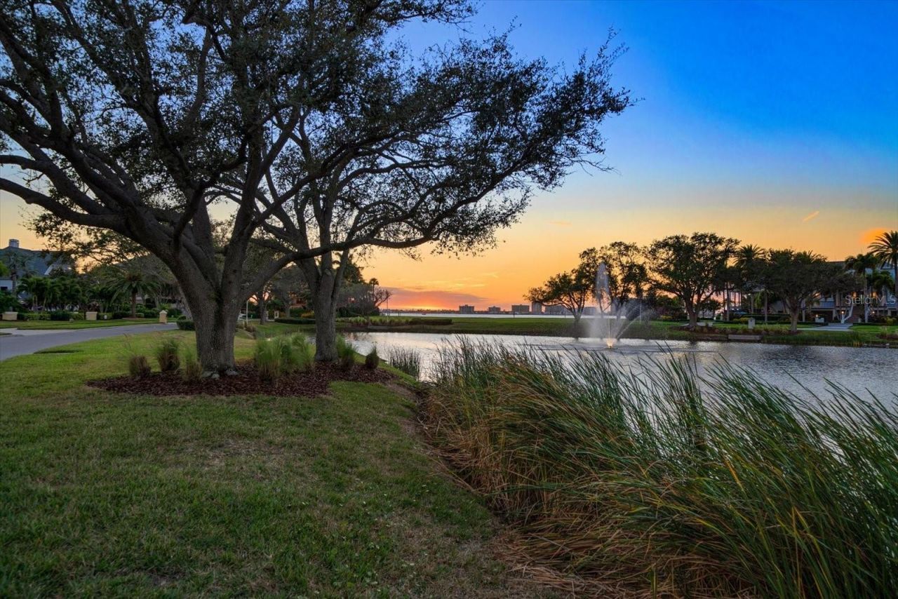 430 St Andrews Drive, Belleair, FL 33756 Photo