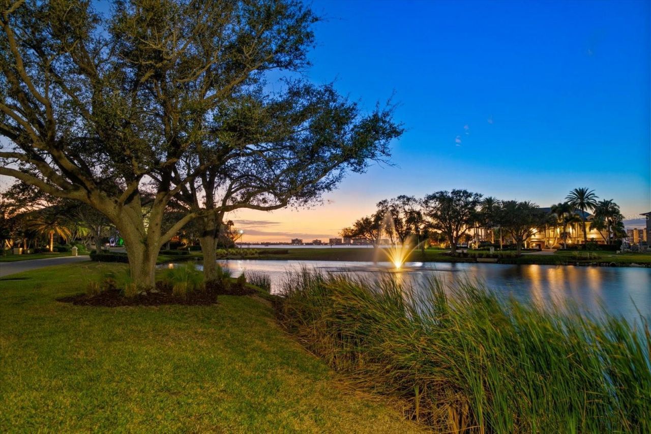 430 St Andrews Drive, Belleair, FL 33756 Photo