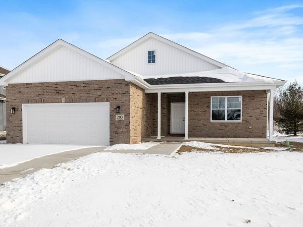 203 Hickory Street, Peotone, IL 60468