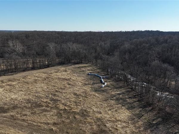 53+/- Acres Louisville Road, Bowling Green, MO 63334