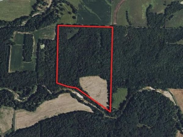 53+/- Acres Louisville Road, Bowling Green, MO 63334