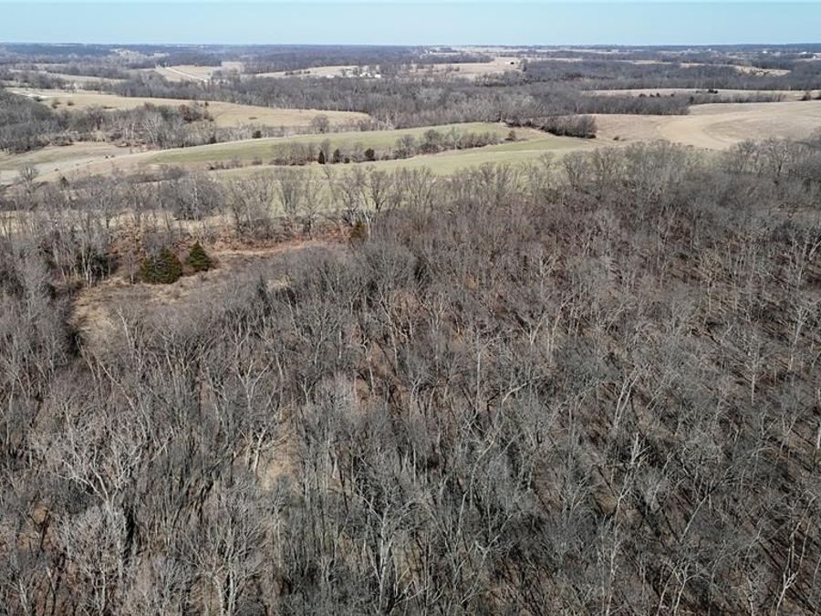 Property Image 19