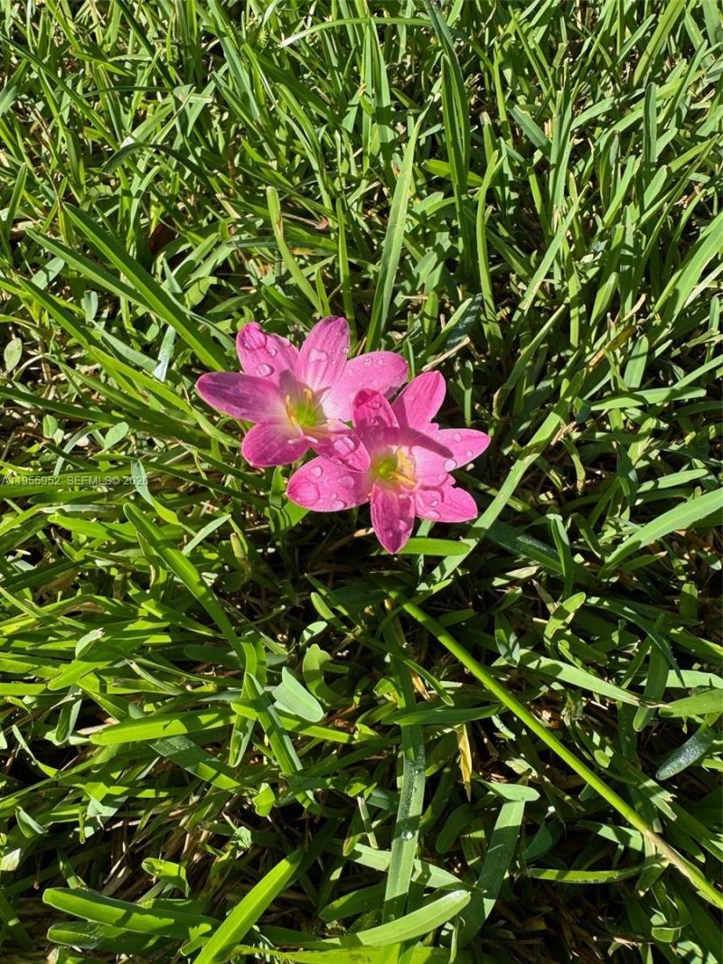 9221 Broad Manor Rd, Miami, FL 33147 Photo