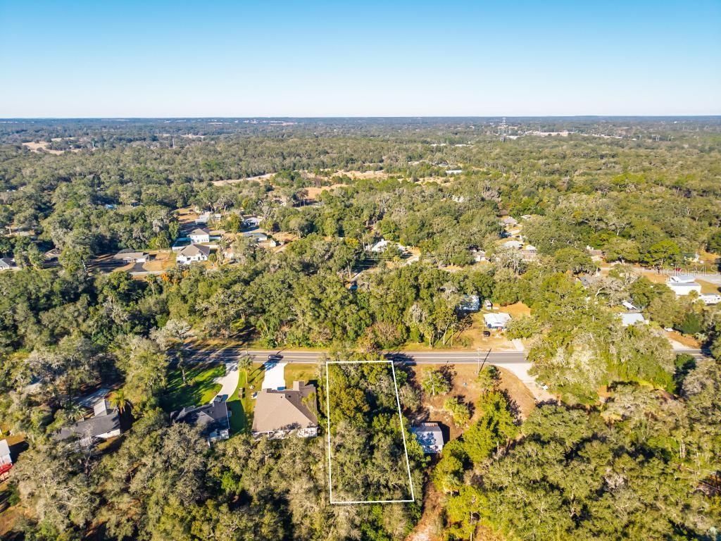 31060 Lochmore Circle, Sorrento, FL 32776 Photo