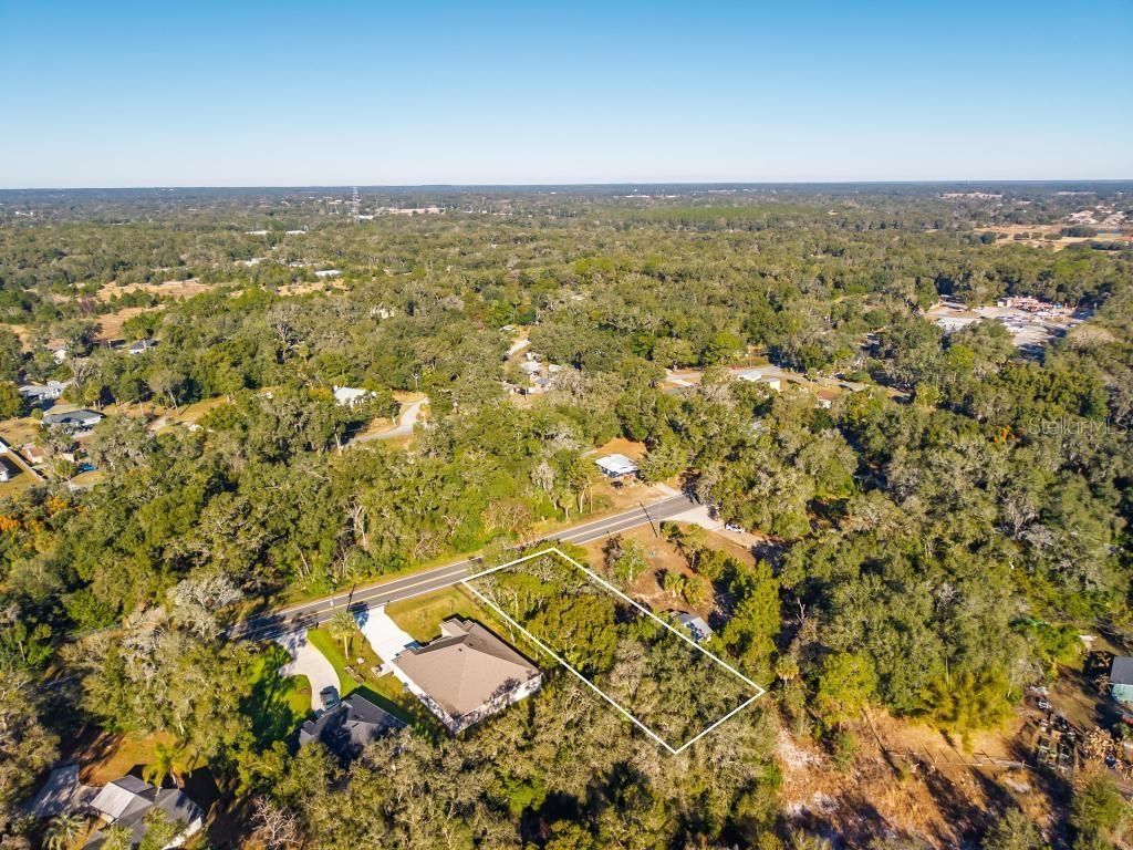 31060 Lochmore Circle, Sorrento, FL 32776 Photo