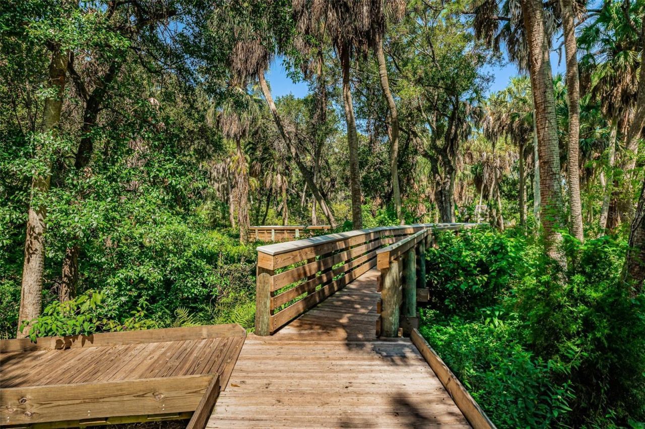 2015 Park Street N, Saint Petersburg, FL 33710 Photo