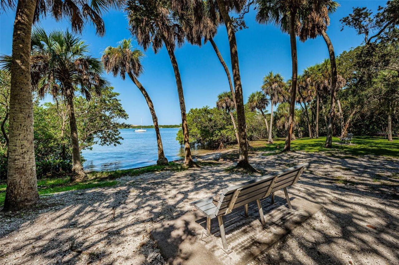 2015 Park Street N, Saint Petersburg, FL 33710 Photo