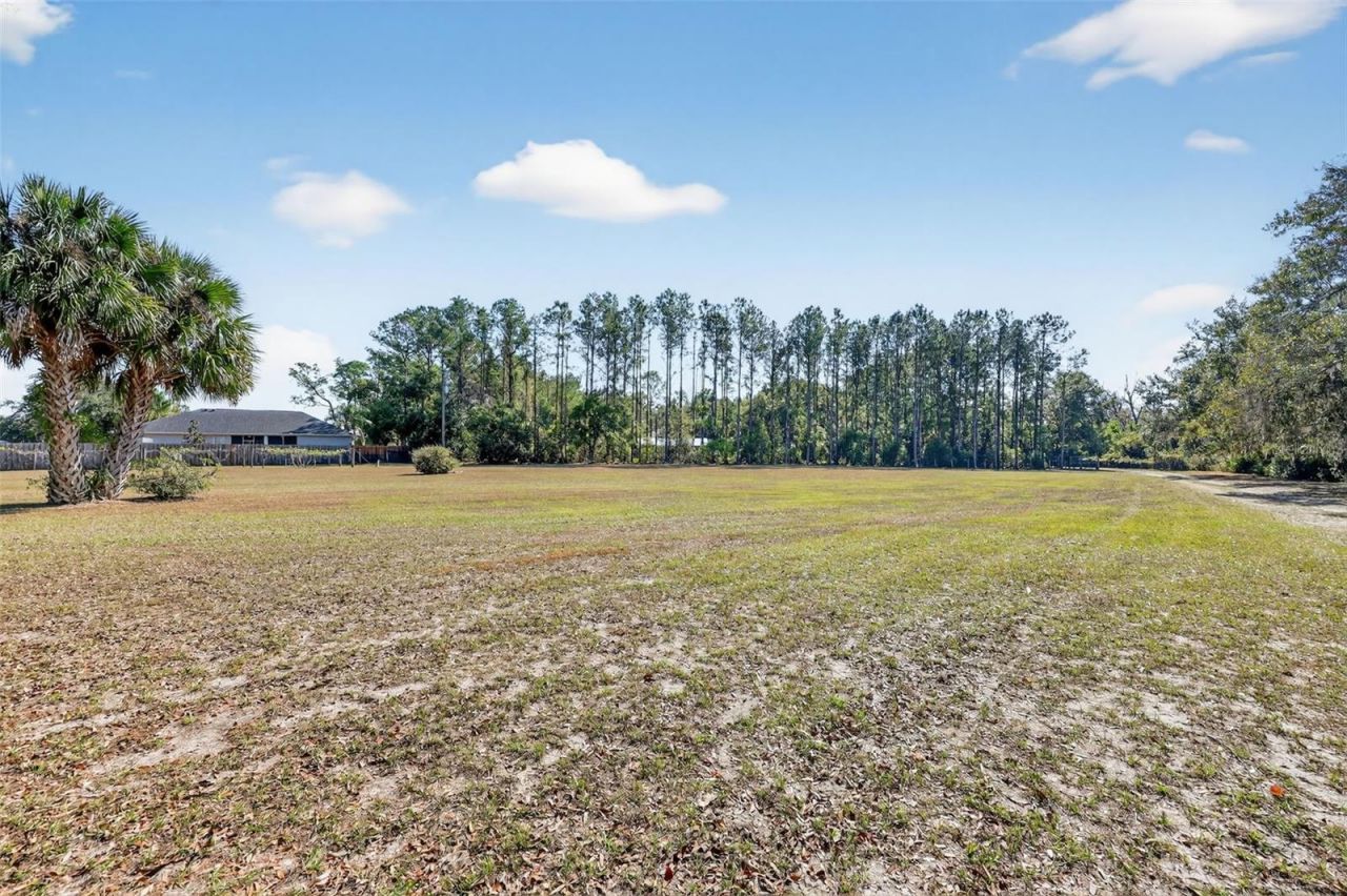 8027 Ehren Cutoff, Land O Lakes, FL 34639 Photo