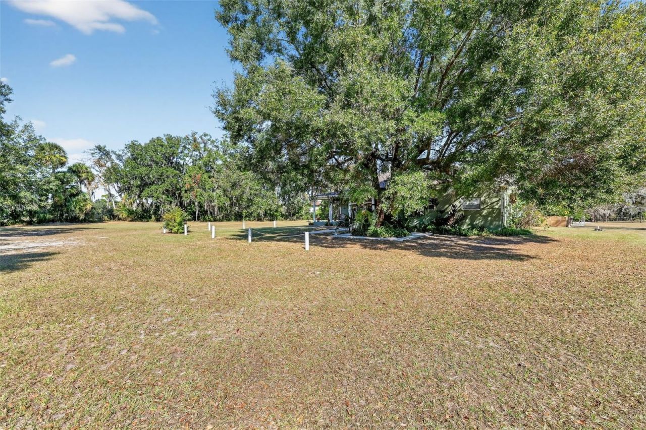 8027 Ehren Cutoff, Land O Lakes, FL 34639 Photo