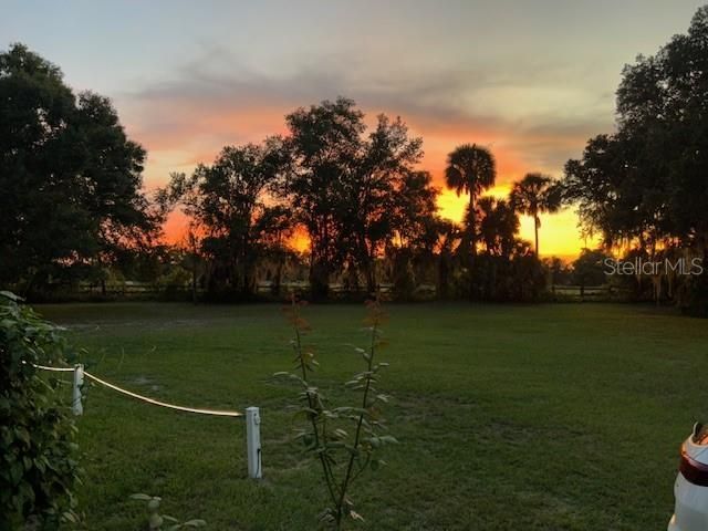 8027 Ehren Cutoff, Land O Lakes, FL 34639 Photo