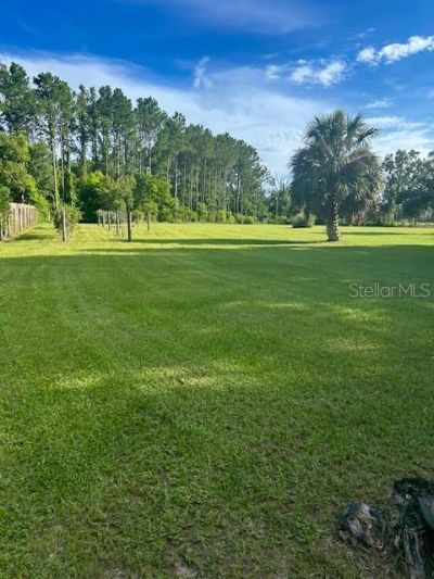 8027 Ehren Cutoff, Land O Lakes, FL 34639 Photo