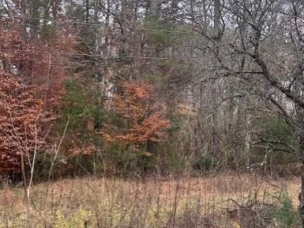 0 Chestuee Road, Cleveland, TN 37323