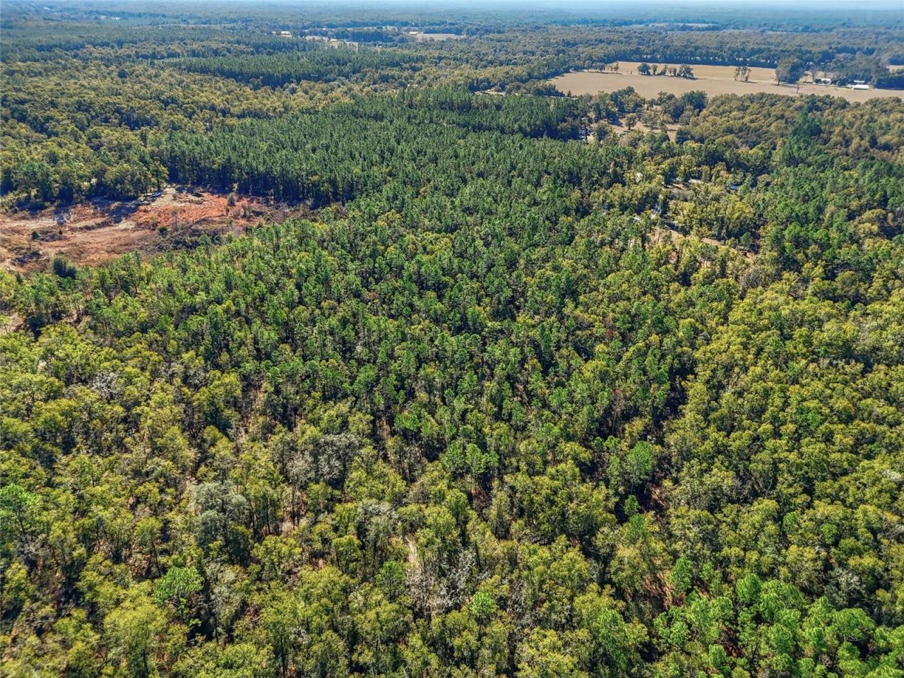 317 SW Cumberland Street, Fort White, FL 32038 Photo