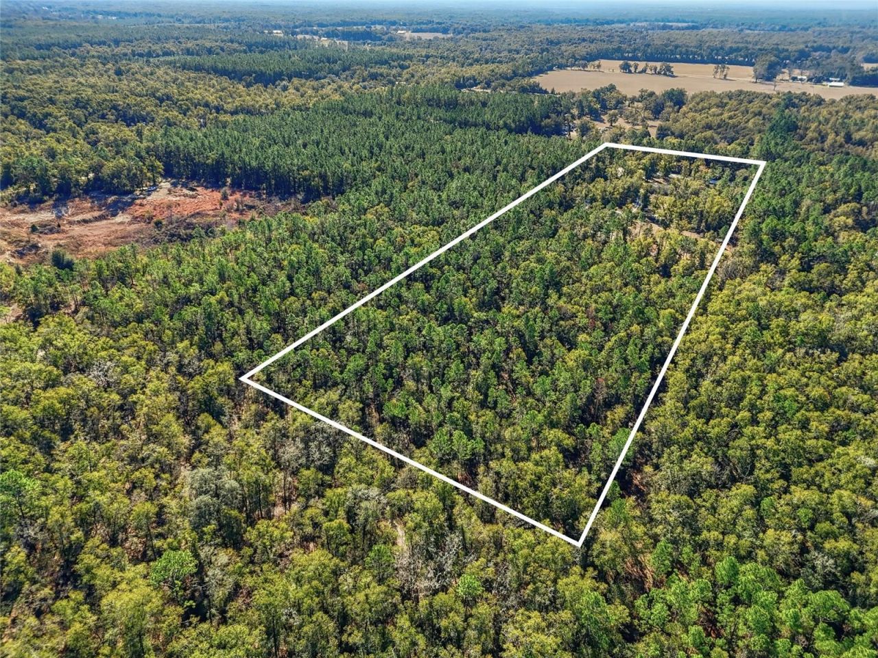 317 SW Cumberland Street, Fort White, FL 32038 Photo