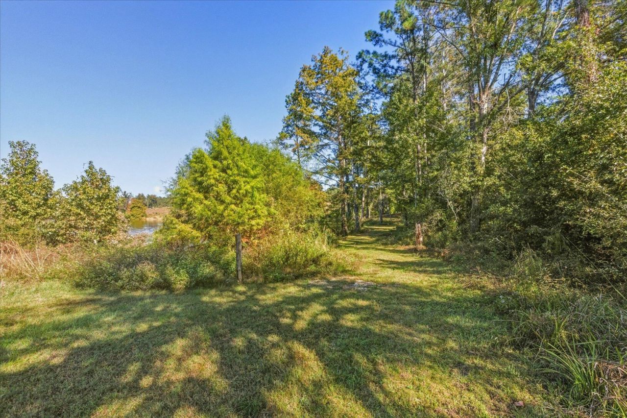 1627 Lloyd Creek Road , Monticello, FL 32344 Photo