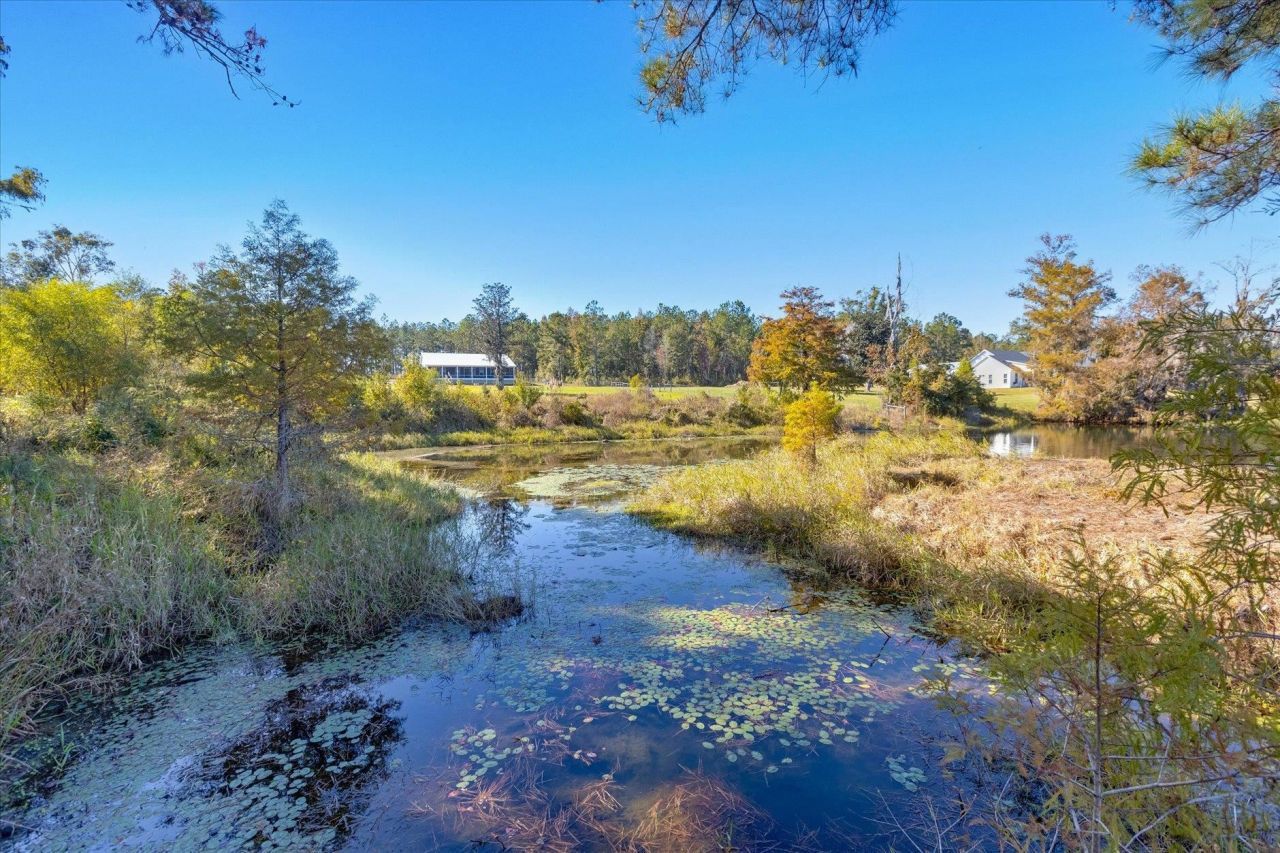 1627 Lloyd Creek Road , Monticello, FL 32344 Photo