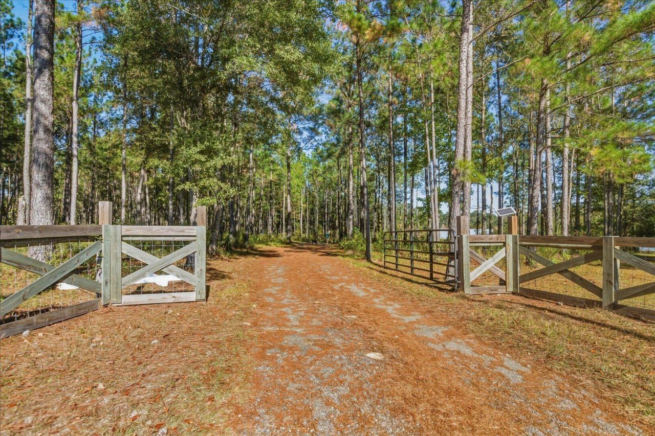 1627 Lloyd Creek Road , Monticello, FL 32344 Photo